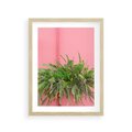 Plakat w ramie 30x40 - Fotografia Rośliny z Różowym Tłem - fotografia, zielona roślina na tle różwj ściany - rama drewno