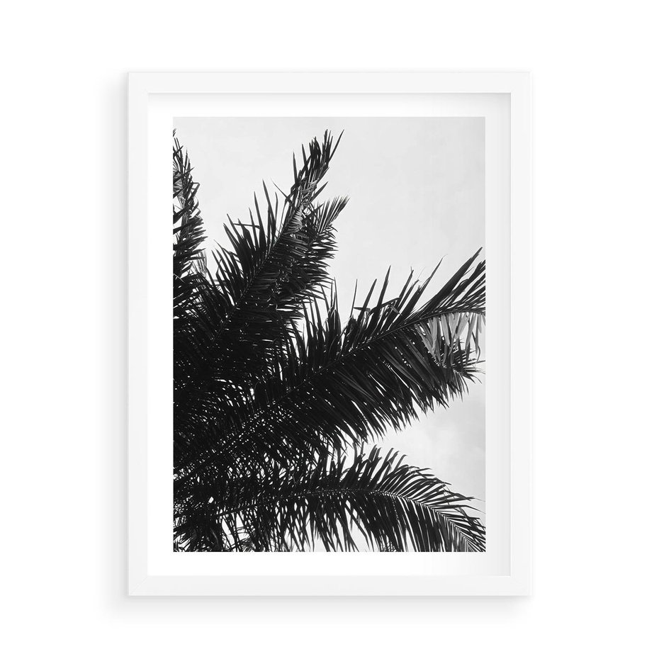 Plakat w ramie 50x70 - Czas Zapomnienia - palmy, czarno biała fotografia - rama biała