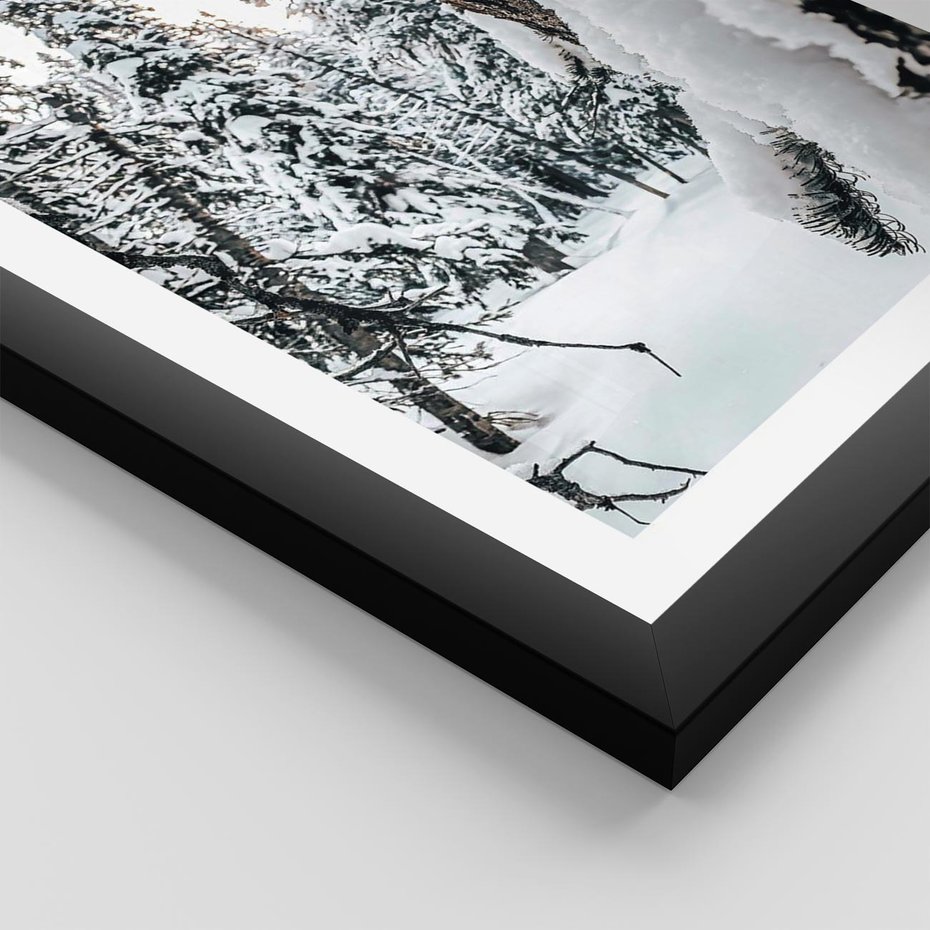 Plakat w ramie 40x50 - Drzewa pod Śniegiem - zima las, drzewa pod śniegiem - rama czarna