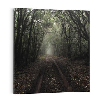 Obraz na płótnie 70x70 - Urok Drogi - las, droga