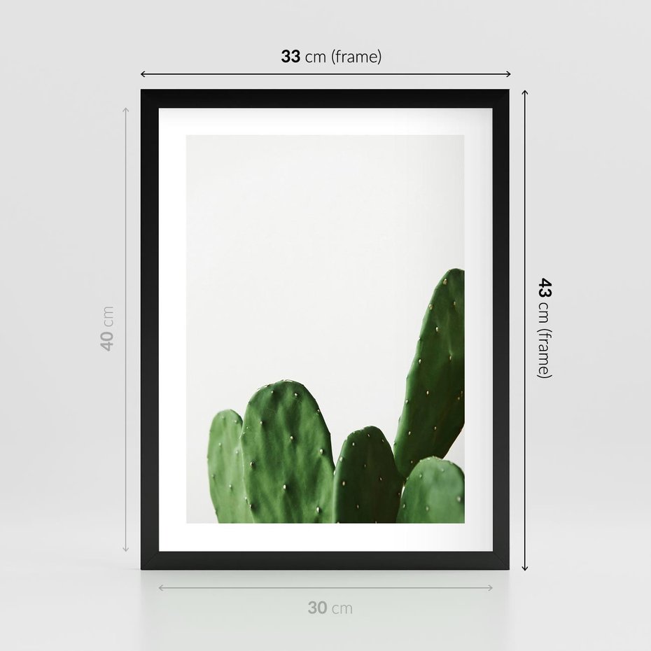 Plakat w ramie 30x40 - Minimalizm Natury - kaktus, zbliżenie - rama czarna