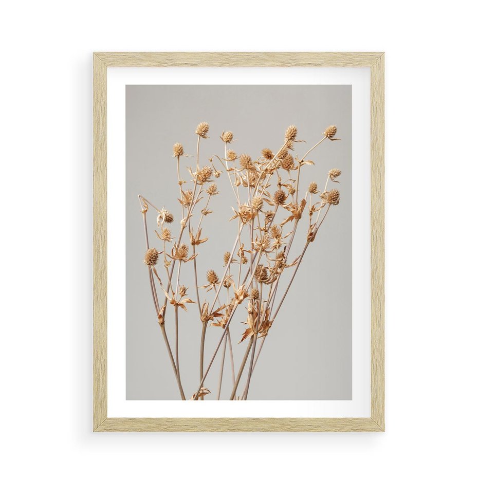 Plakat w ramie 50x70 - Delikatne gipsówki - gipsówka, suche - rama drewno
