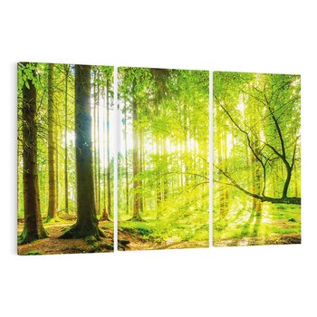 Obraz na płótnie 120x80 - Las w pełnym rozkwicie - las, drzewa