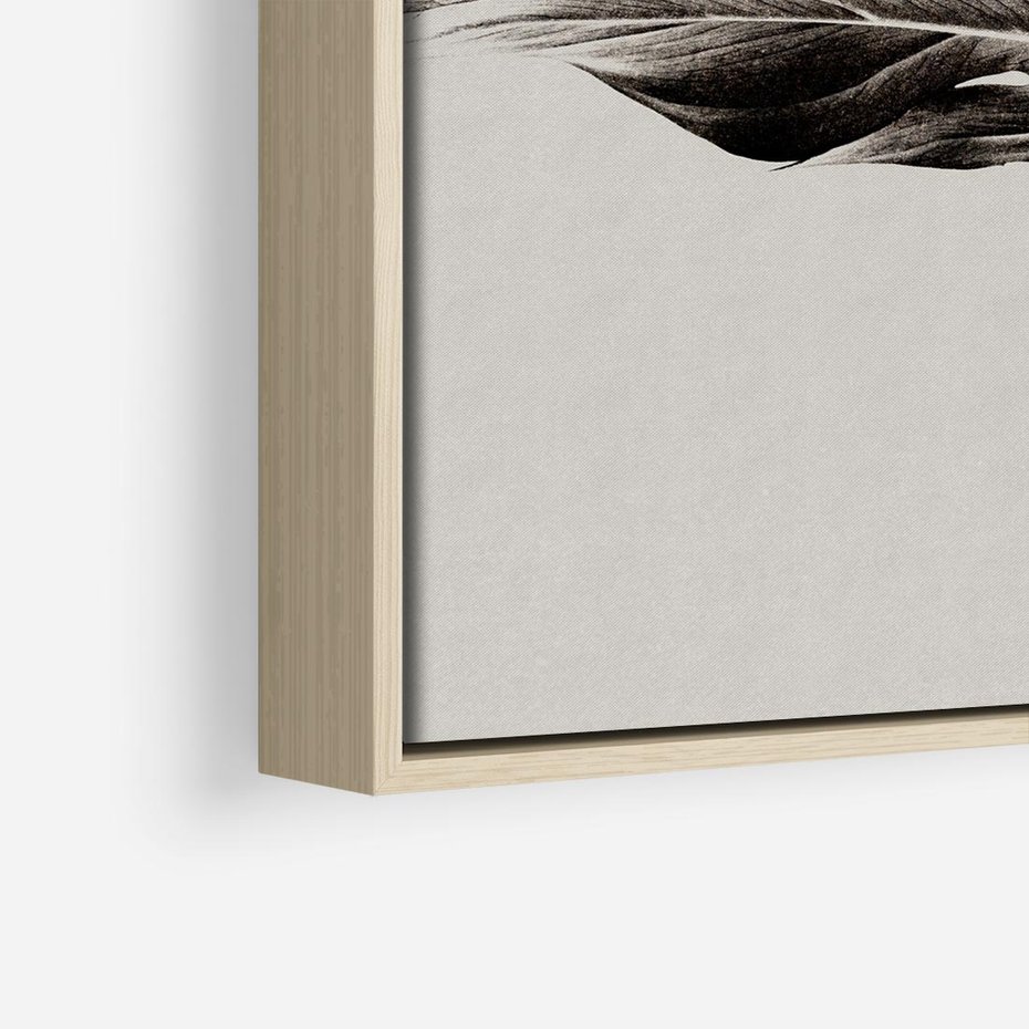 Obraz w ramie 50x50 - Szepczący Liść - szkic, czarno biały - rama drewno