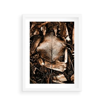 Plakat w ramie 30x40 - Samotny Liść - liść, brąz - rama biała