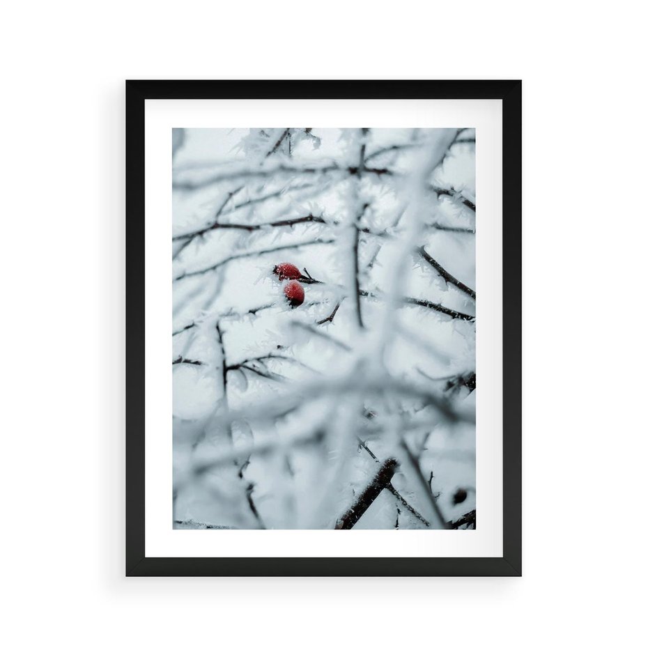 Plakat w ramie 40x50 - Zima w Detalu: Gałęzie ze Szronem i Śniegiem - śnieg, zima - rama czarna