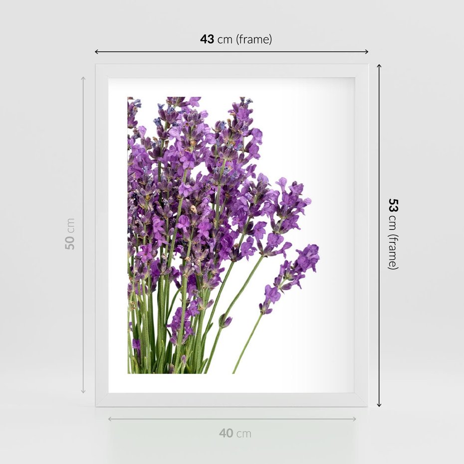 Plakat w ramie 40x50 - Pola lawendy w pełnym rozkwicie - lawenda, kwiaty - rama biała