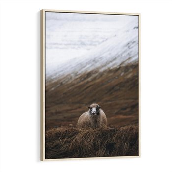 Obraz w ramie 80x120 - Owiecka panorama - góry, owca - rama drewno