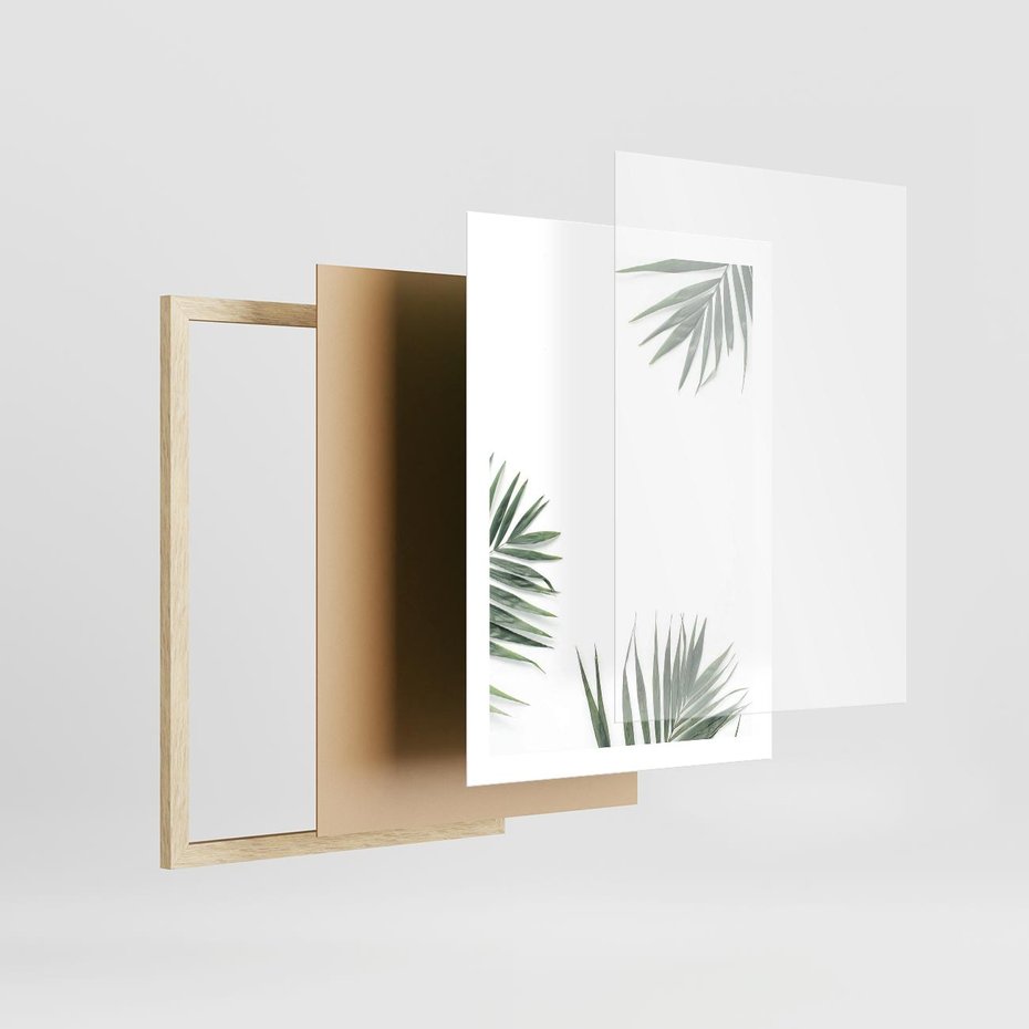 Plakat w ramie 50x70 - Liście Palmy na Czystym Tle - liście palmy, białe tło - rama drewno