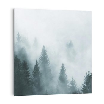 Obraz na płótnie 40x40 - Las w Mgłe - las, we