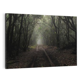 Obraz na płótnie 70x50 - Urok Drogi - las, droga