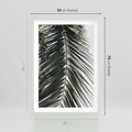 Plakat w ramie 50x70 - Liść Palmy: Egzotyczny Detal Natury - palma, liść palmy - rama biała