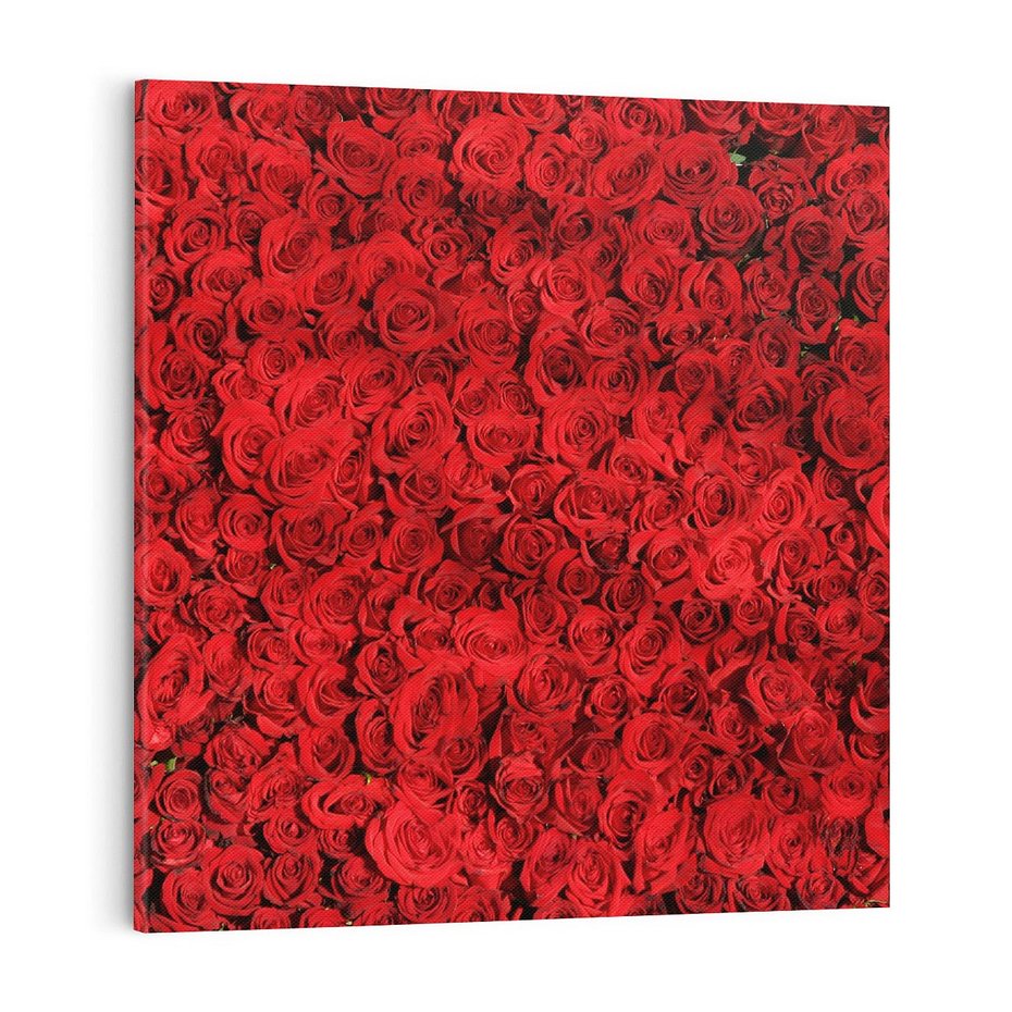 Obraz na płótnie 50x50 - Czerwona Pasja - czerwone, róże