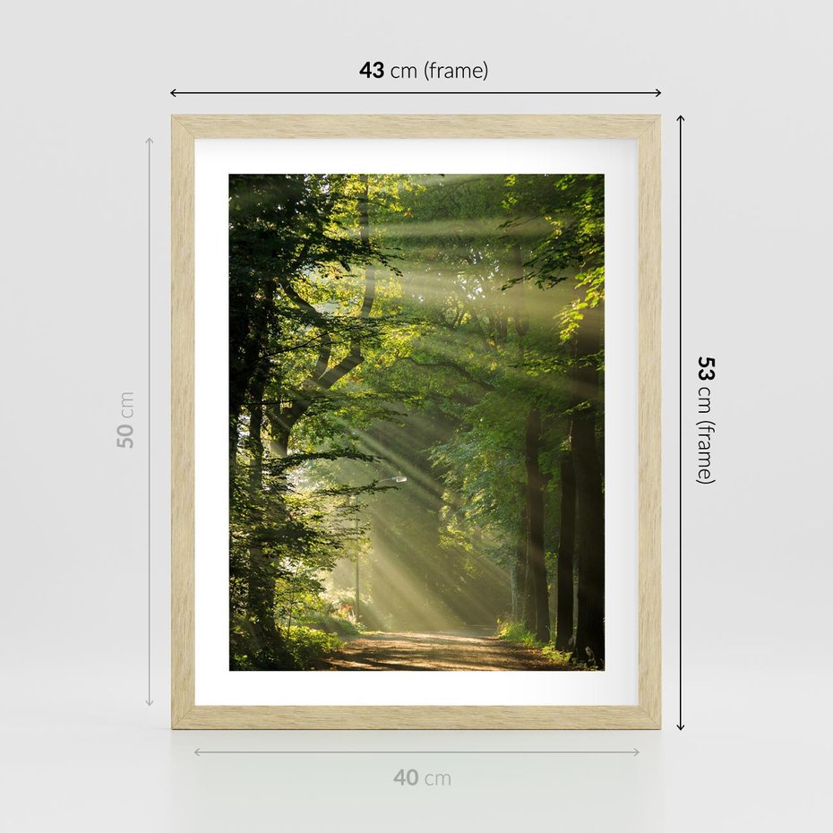 Plakat w ramie 40x50 - harmonia natury - las, drzewa - rama drewno