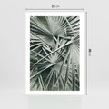 Plakat bez ramy 21x30 - Palmy w Zgaszonej Zieleni - palmy, tropikalne liście