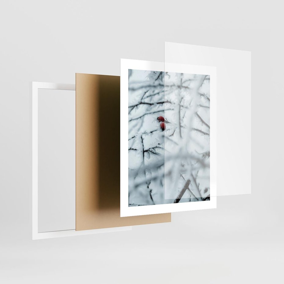 Plakat w ramie 40x50 - Zima w Detalu: Gałęzie ze Szronem i Śniegiem - śnieg, zima - rama biała