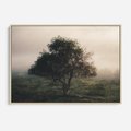Obraz w ramie 120x80 - Zamglona Prostota - artystyczna fotografia, samotne drzewo na zamglonej łące - rama drewno