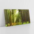 Obraz na płótnie 120x60 - Spokój wśród drzew: las w odcieniach zieleni - las, drzewa