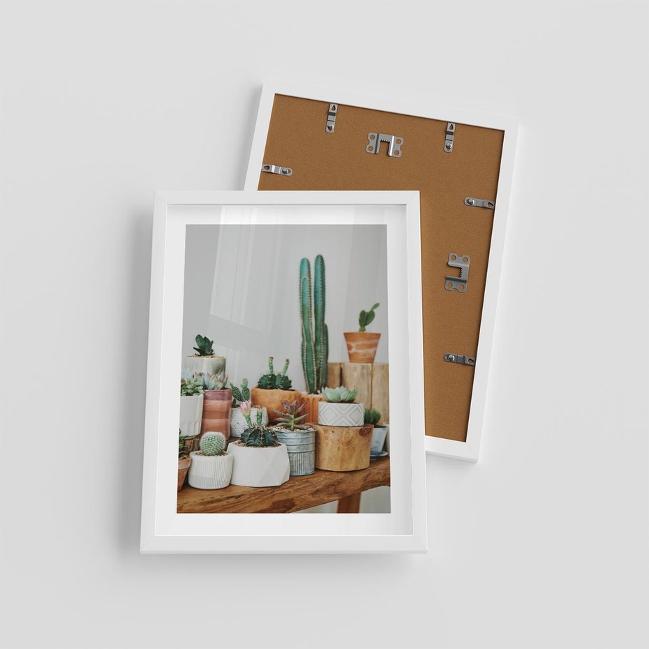 Plakat w ramie 30x40 - Kaktusowa Galeria w Doniczkach - kaktusy w doniczkach, fotografia - rama biała