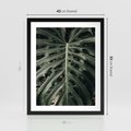 Plakat w ramie 40x50 - Majestatyczny Liść Monstery - liść monstery, majestatyczny liść - rama czarna
