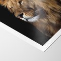 Plakat bez ramy 50x70 - Władca Dzikiej Przyrody - lew, król