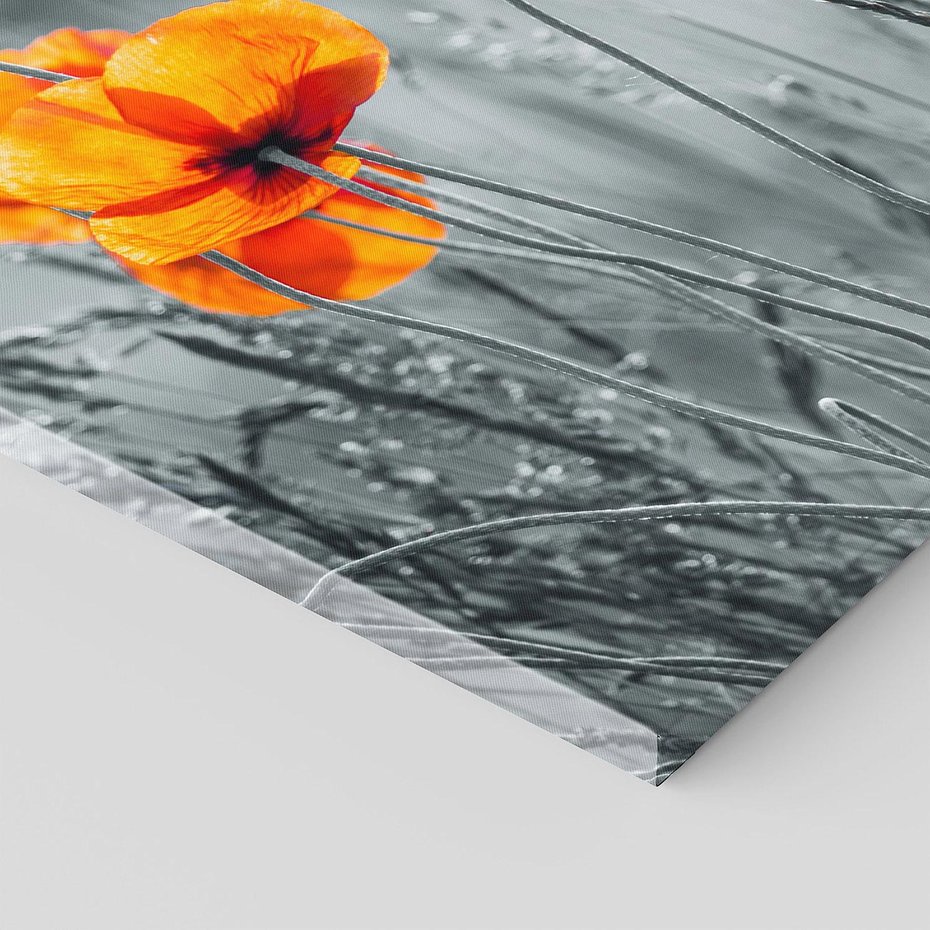 Obraz na płótnie 150x50 - Malownicza łąka - maki, mak