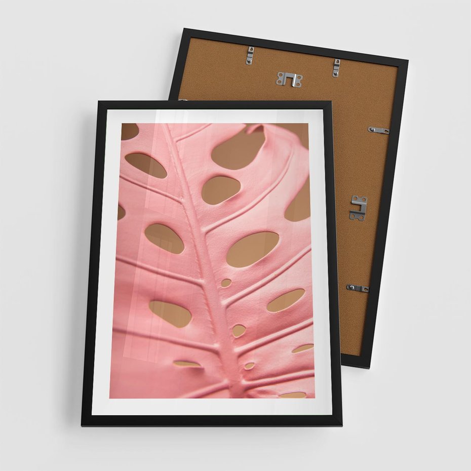 Plakat w ramie 50x70 - Różowa monstera w pełnym rozkwicie - różowa, monstera - rama czarna