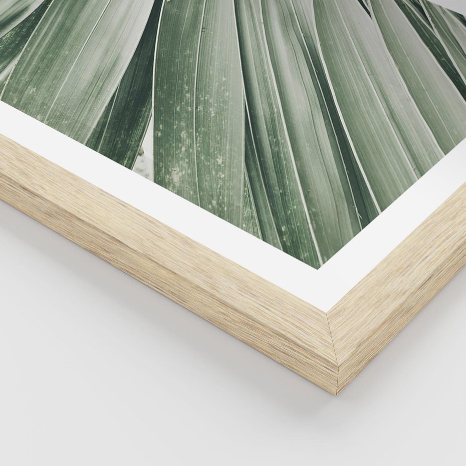 Plakat w ramie 40x50 - Tropikalna Oaza - zielony liść palmy, zieleń - rama drewno