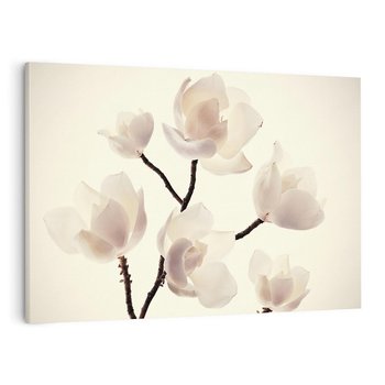 Obraz na płótnie 70x50 - Elegancja Natury - magnolia, białe