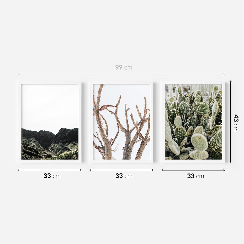Zestaw obrazy w ramie 30x40 galeria - Pustynia, kaktusy, zieleń, boho - rama biała