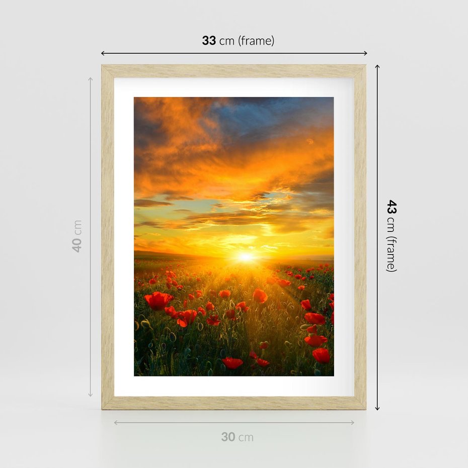 Plakat w ramie 30x40 - Magia zachodu słońca na łące z makami - łąka, zachód słońca - rama drewno