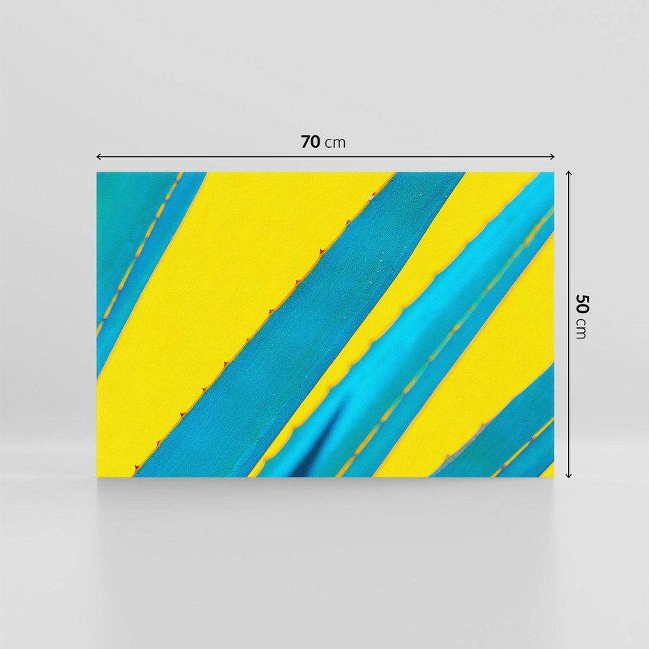 Obraz na płótnie 70x50 - Świeżość Natury - aloes, liście