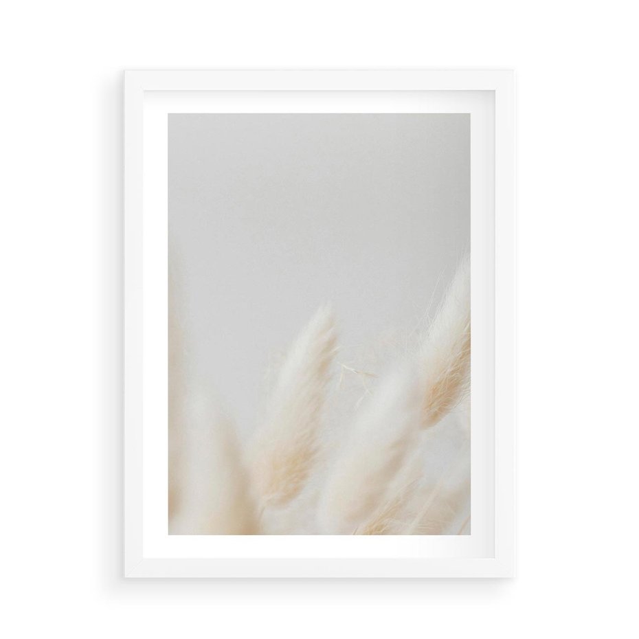 Plakat w ramie 50x70 - Biały Spokój - białe trawy, suche trawy pampas - rama biała