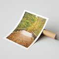 Plakat bez ramy 30x40 - Spacer Ścieżką w Las - ścieżka, spacer