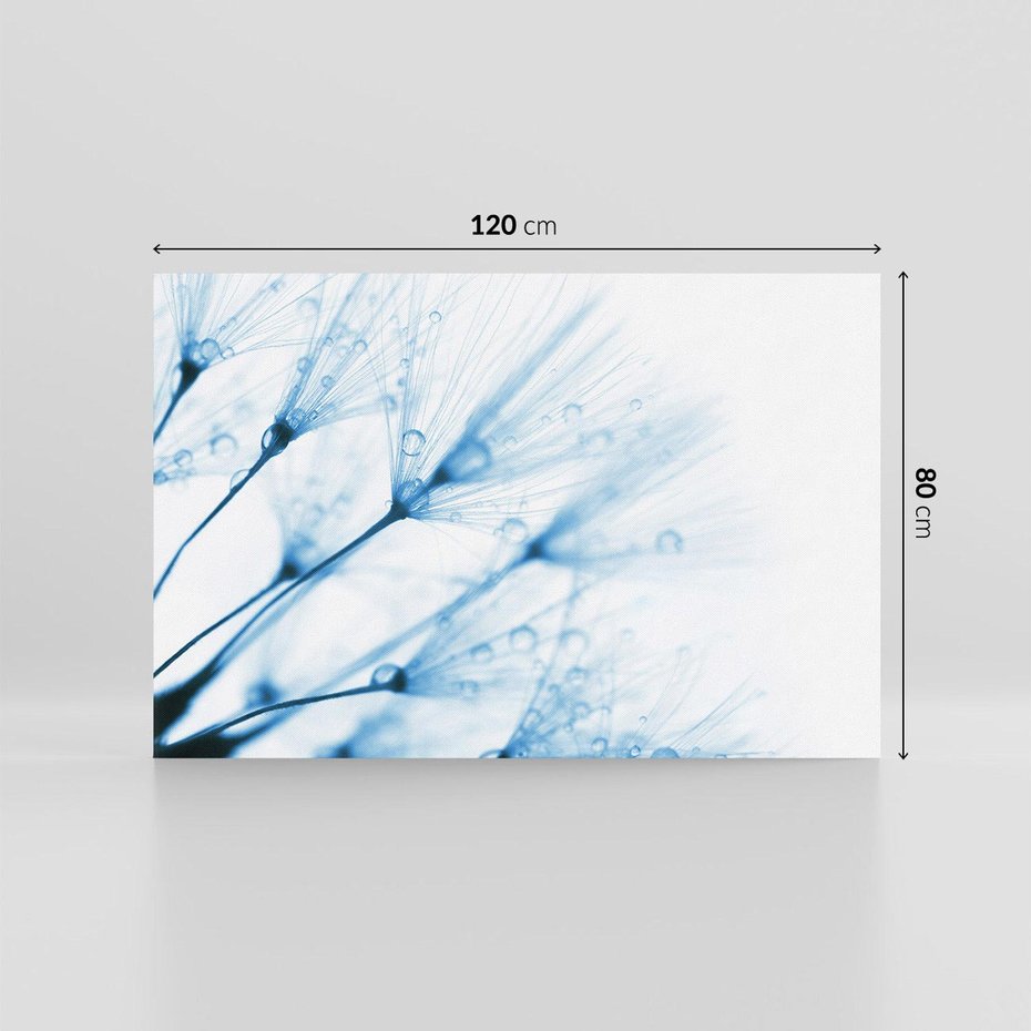 Obraz na płótnie 120x80 - Kwiat w kroplach wody - kwiat, krople