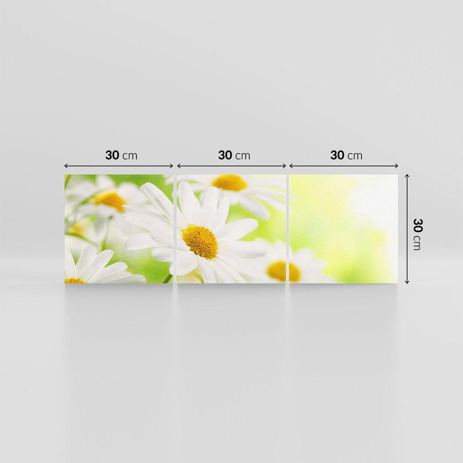 Obraz na płótnie 90x30 - Stokrotka: delikatność natury - stokrotka, kwiat