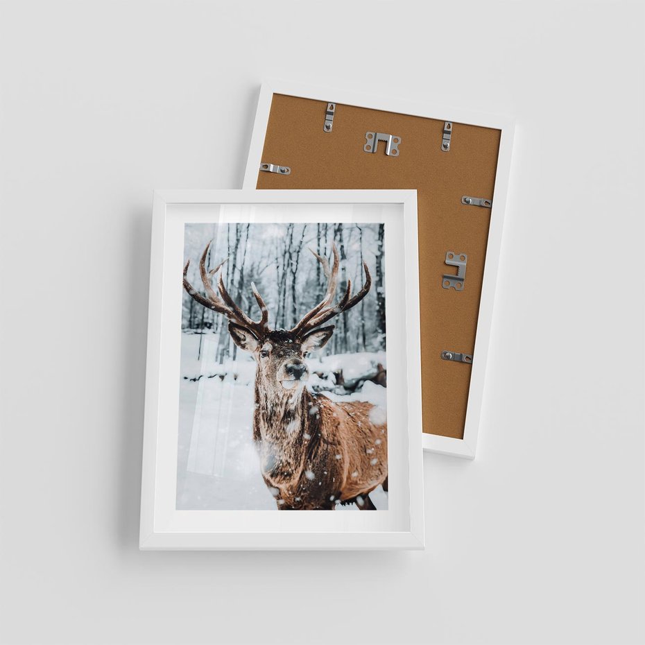 Plakat w ramie 30x40 - Jeleń na Zdjęciu pod Śniegiem - jeleń, zima - rama biała