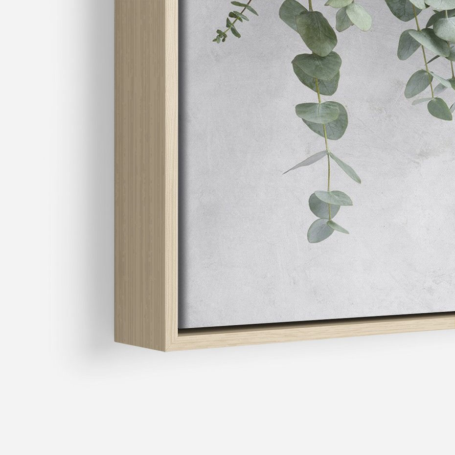 Obraz w ramie 70x100 - Uwodzicielska zieleń eukaliptusa - eukaliptus, zielone - rama drewno