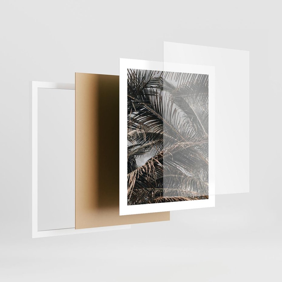 Plakat w ramie 40x50 - Liściaste Palmy - palmy, drzewa palmowe - rama biała