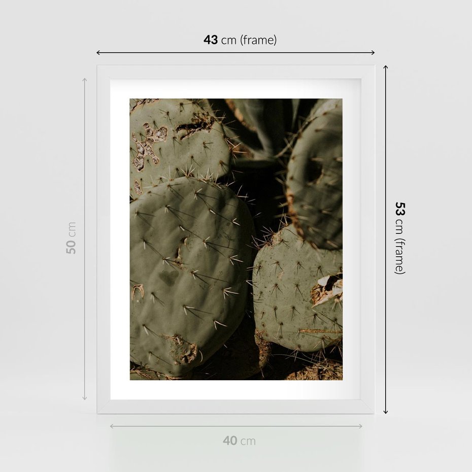 Plakat w ramie 40x50 - Urok Egzotyki - kaktusy, boho - rama biała