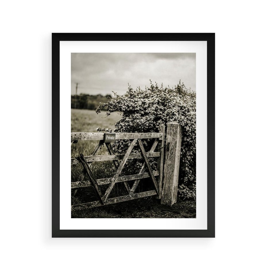 Plakat w ramie 40x50 - Wiejski Urok: Stary Płot i Kwitnący Krzew - rustykalne zdjęcie, stary płot - rama czarna