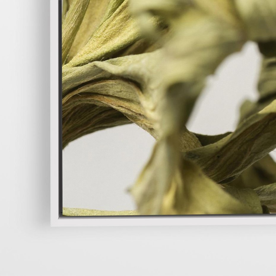 Obraz w ramie 120x80 - Odejście pory deszczowej - suche, trawy - rama biała