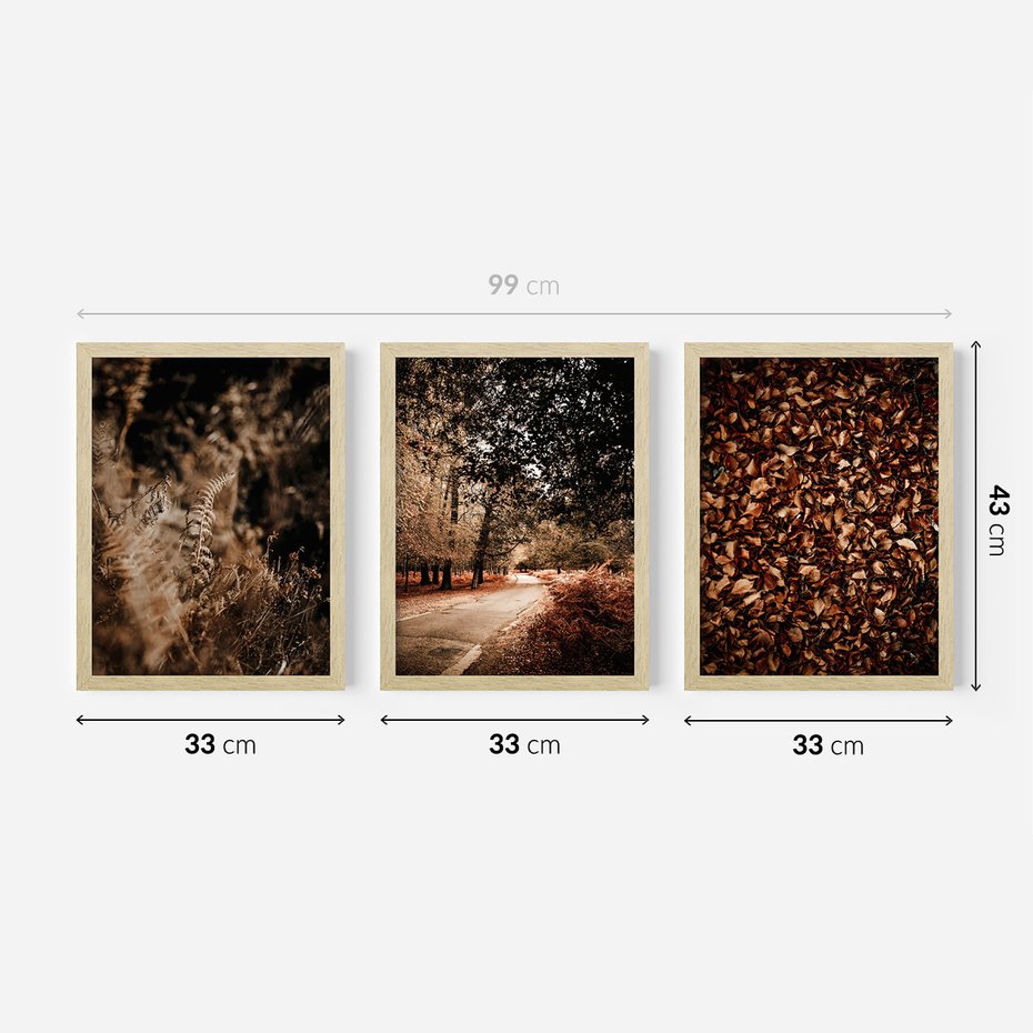 Zestaw obrazy w ramie 30x40 galeria - Jesienne, liście, nostalgia - rama drewno