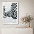 Plakat bez ramy 50x70 - Magia Zimy na Obrazie - las, zima