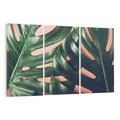 Obraz na płótnie 120x80 - Monstera Liście - monstera, liście