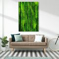 Obraz na płótnie 50x70 - Bambusowy urok zielonej harmonii - bambus, zieleń