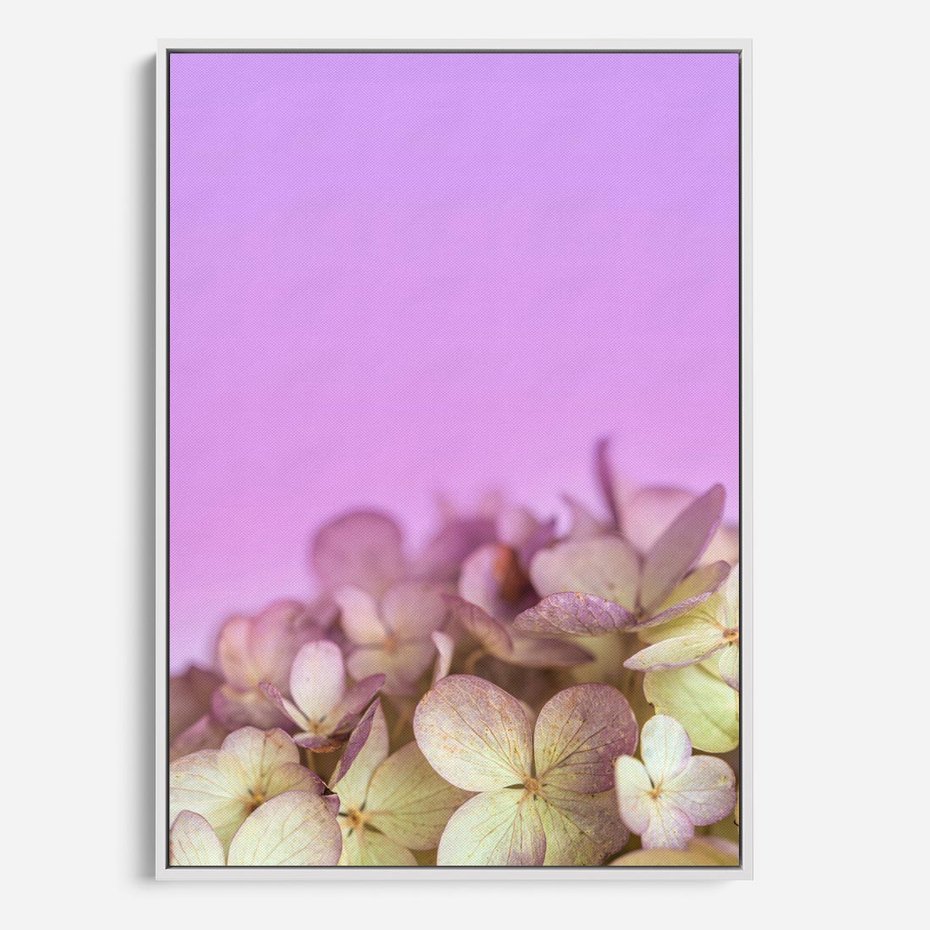 Obraz w ramie 80x120 - Kwiatowa Uroda - kwiaty, hortensje - rama biała