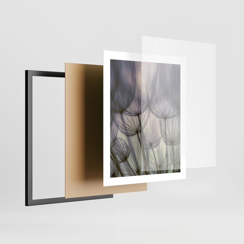 Plakat w ramie 40x50 - Makro dmuchawiec - piękno drobnych detali - dmuchawce, makro - rama czarna