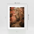 Plakat w ramie 30x40 - Obraz przedstawia jesienne drzewa i czerwone liście na ścieżce w lesie. Ta sceneria doskonale oddaje urok i kolorystykę jesieni w lesie. - las, jesień - rama biała