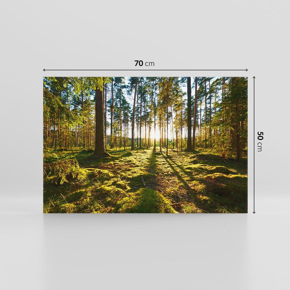 Obraz na płótnie 70x50 - Obfitość natury - las, drzewa